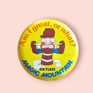 vtg Six Flags button